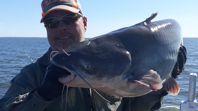 Lake Tawakoni Catfish Tips-Live-Bait-Guide Tony Pennebaker