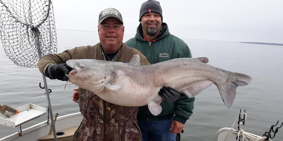 Lake Lewisville Catfish Fishing Guide - North Texas Catfish Guide Service