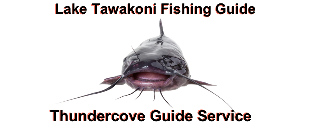 Lake Tawakoni Fishing Guide-Tony Pennebaker