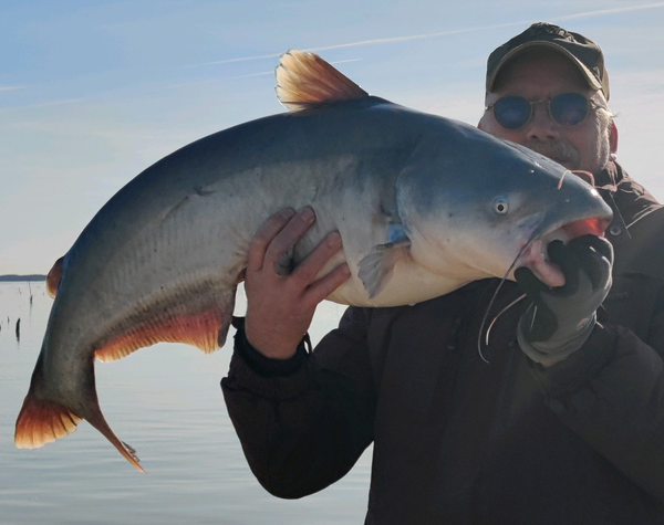 Lake Tawakoni Catfish Tips-Catch Limits-Guide Tony Pennebaker