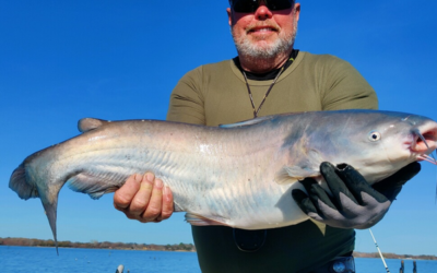 How to Catch Catfish at Lake Tawakoni