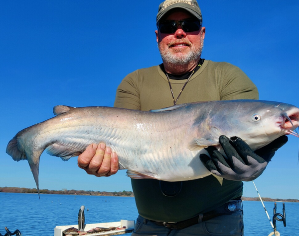 How to Catch Catfish at Lake Tawakoni