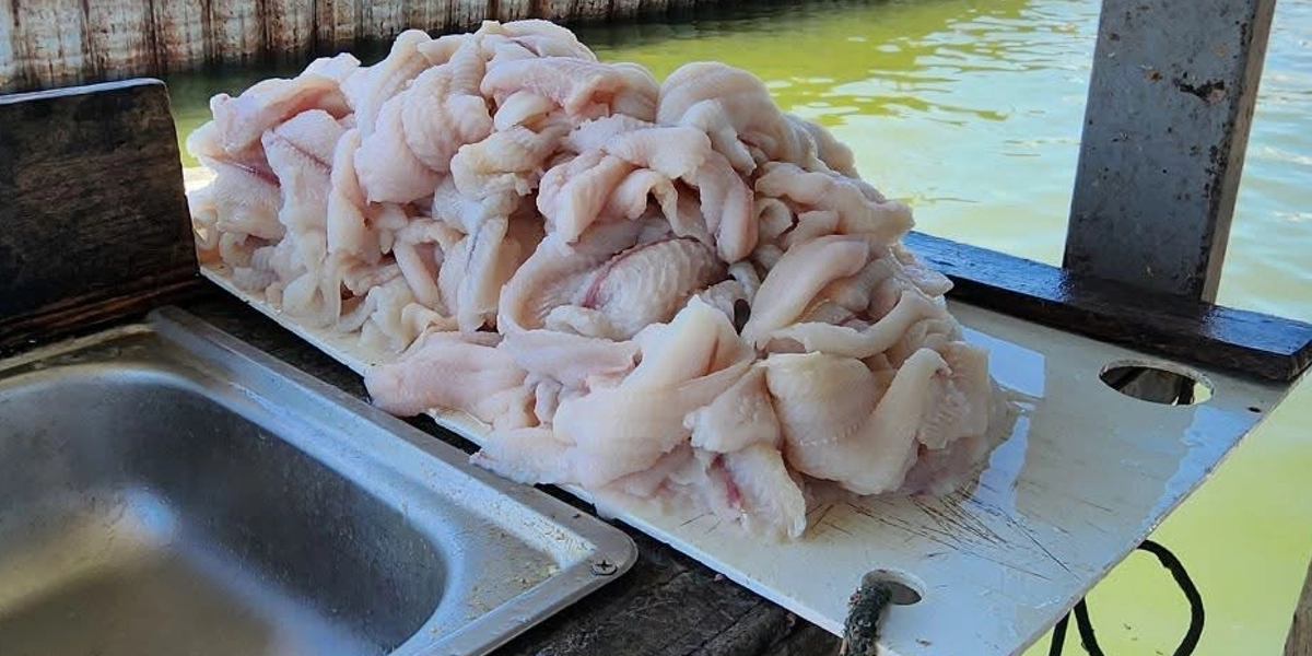 Eater Catfish Trips on Lake Tawakoni